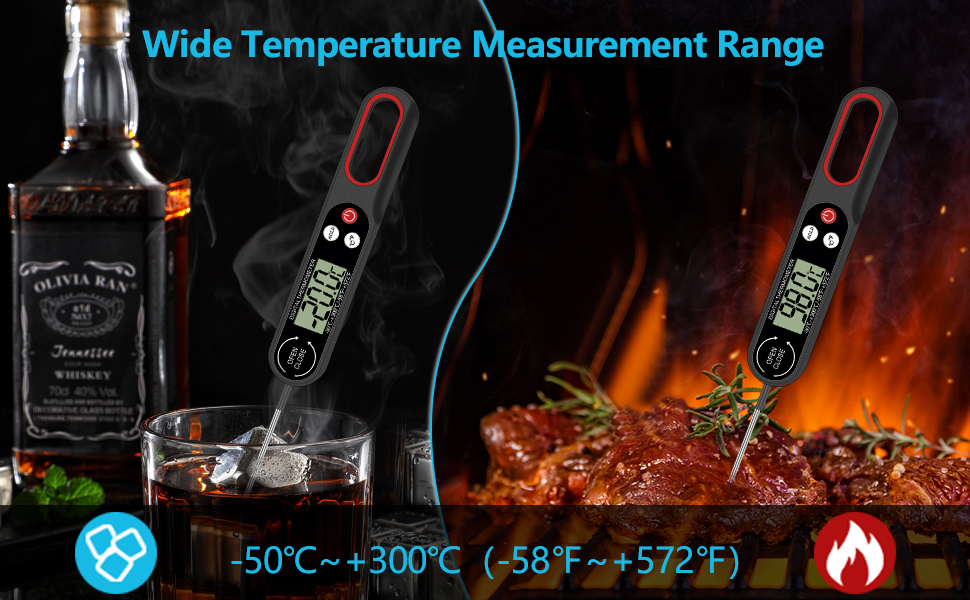 Termometro Cucina Professionale