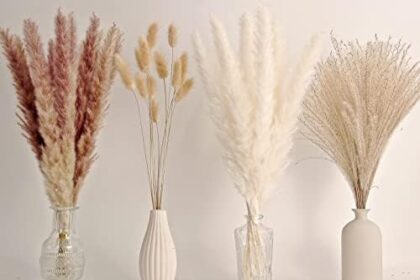 Decorazione di Pampas Grass Naturale, che Include 65 Pezzi di Pampas Grass, Canne Secche e Fiori di Coda all'Uncinetto Secchi, per di Boho Decorazioni per la Casa STK