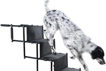Bella & Balu Scaletta per cani - La rampa pieghevole con quattro gradini per cani di piccola, media e grande taglia per facilitare la salita su auto, letto e divano