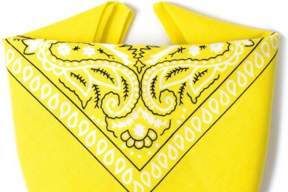 ...KARL LOVEN Bandane 100% cotone per donna uomo Bambini fazzoletto da collo bandana originale motivo paisley copricapo sciarpa per capelli collo polso testa cravatta motociclista…