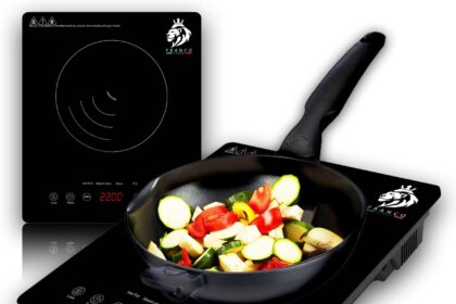 Piano Cottura Fornello Induzione Potatile 1 Fuoco Elettrico In Vetro Temperato Lucido 2200W Piastra Cucina 6 Tipi Di Cottura 8 Livelli Temperatura Touch Control Diplay Led 4 Cifre Blocco Di Sicurezza