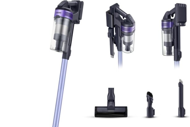 Samsung Aspirapolvere Senza Fili Jet 60 Turbo VS15A6031R4/ET, Senza Sacco, Potenza 150W, Fino a 40 min di Autonomia, Violet