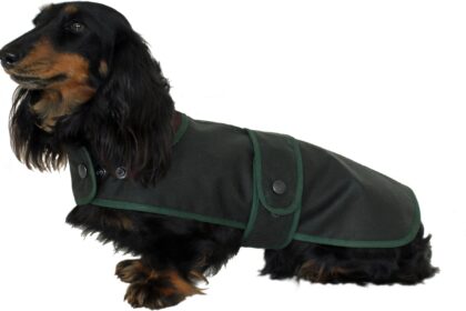 Cosipet - Dachshund Hunter Coat, 43 cm Green