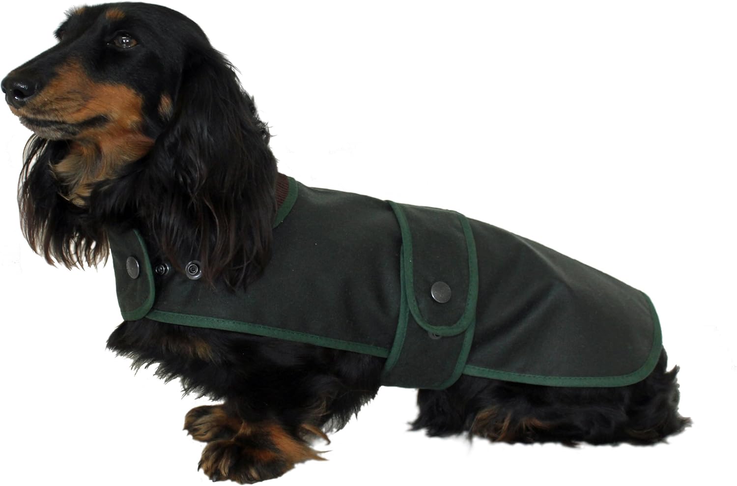 Cosipet - Dachshund Hunter Coat, 43 cm Green