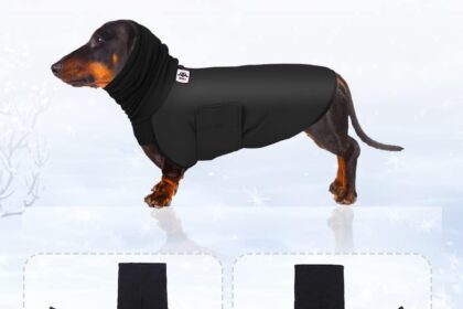 Small Dog Winter Coats (Black, XS) for Dachshunds